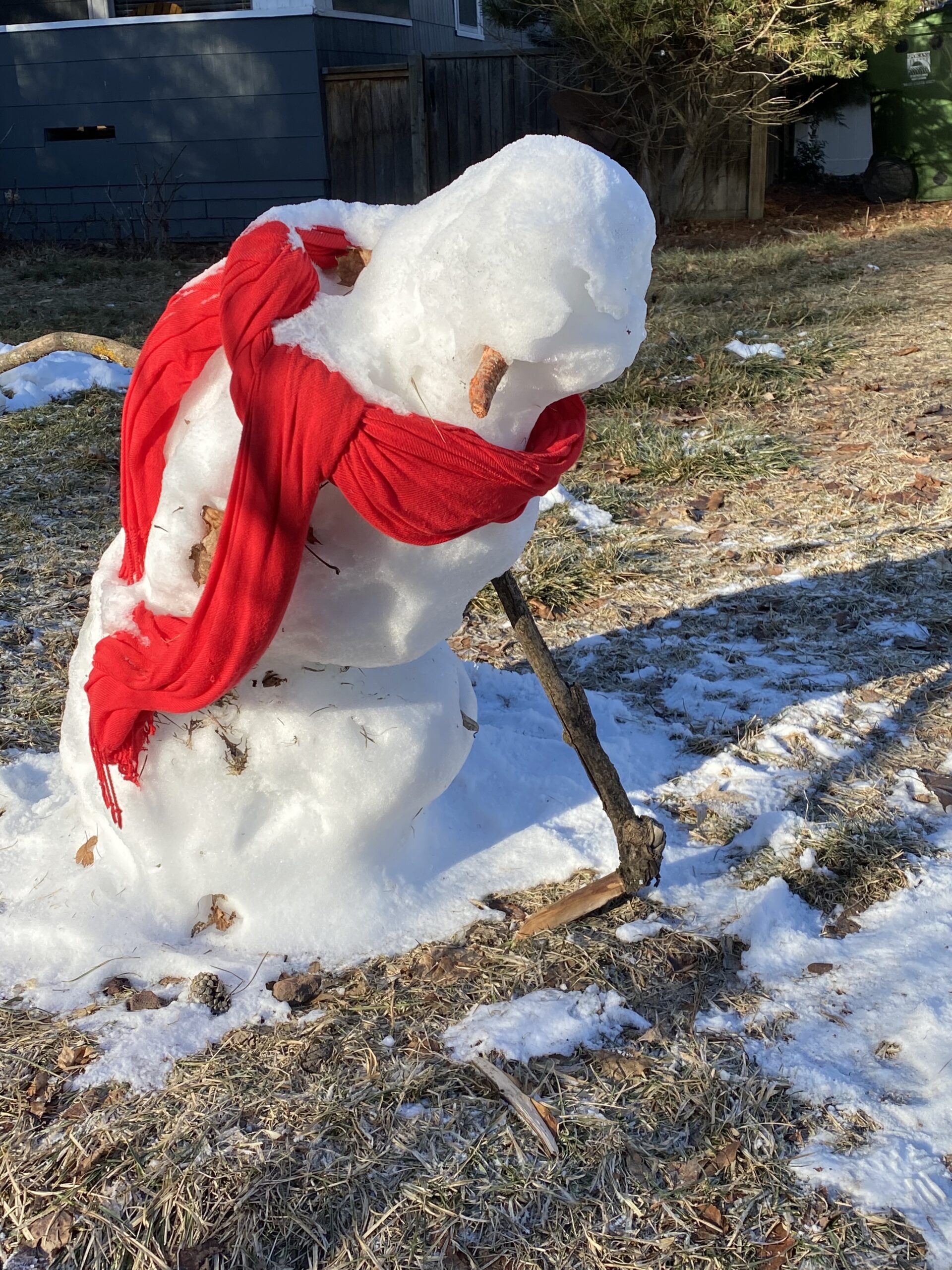Out and About 2025–03-11